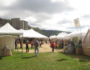 Finding Inspiration and Fun at the FAIR Image